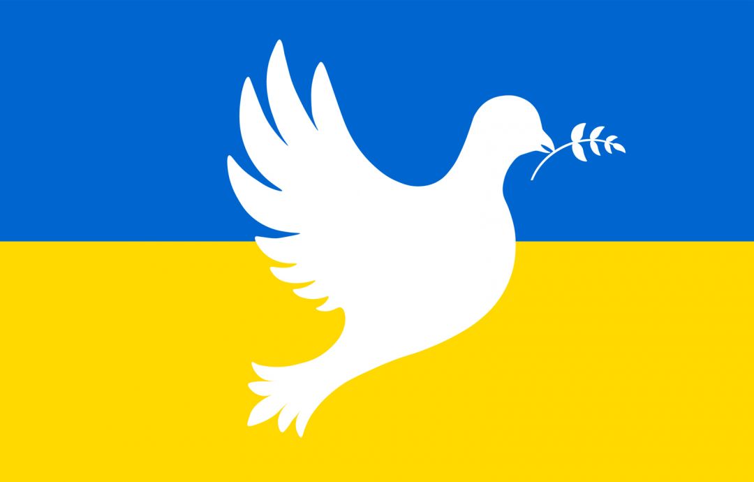 detailed statement of the FFC about the Ukraine war